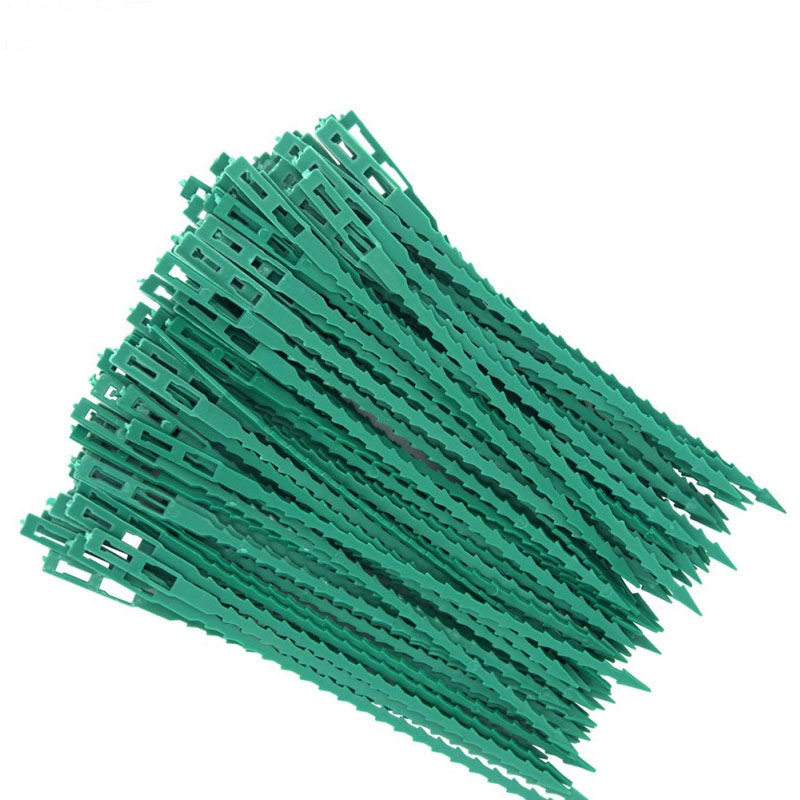 50/100Pcs 재사용 가능한 정원 케이블 타이 식물 - Gear Tie Reusable 리뷰 및 가격